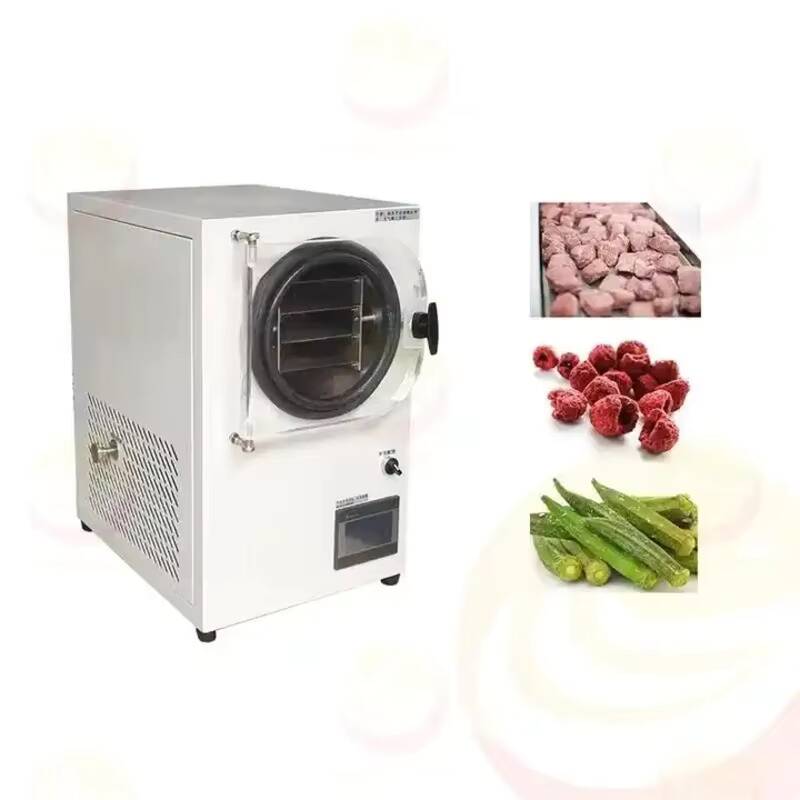 Freeze Drying Machine Small Va - đánh giá và giá Vacuum Chamber Small